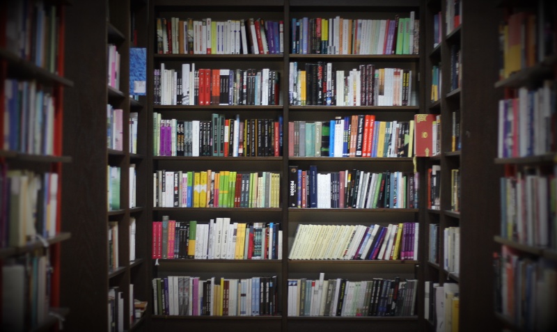 Los libros que arrasan en los préstamos de las bibliotecas de