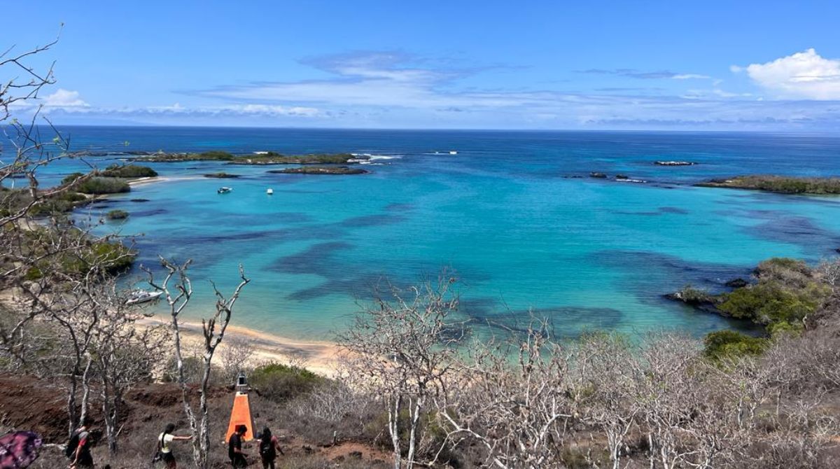 Este archipiélago, formado por 13 islas grandes, 6 menores y 107 islotes y rocas, fue declarado como patrimonio natural de la humanidad de la Unesco en 1978 y es la segunda reserva marina más grande del planeta. Foto: Twitter Dirección del Parque Nacional Galápagos