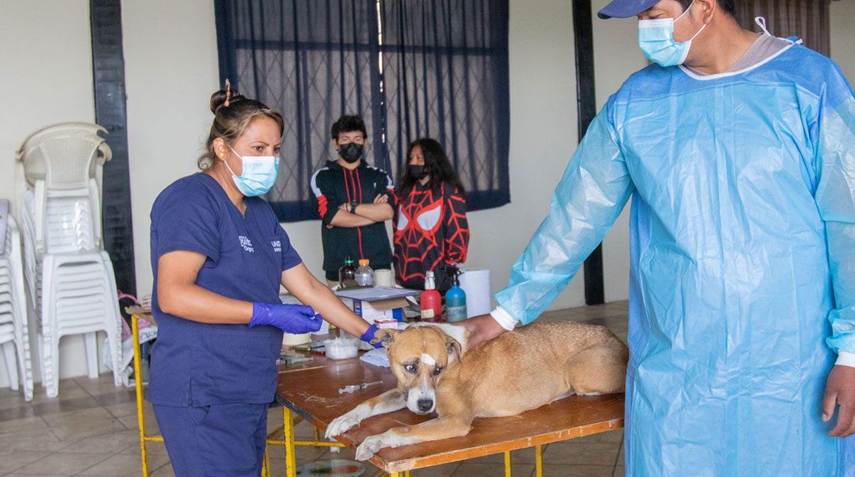 Los médicos y auxiliares hablaron con las personas, antes de la esterilizar a perros y gatos en Pisulí y La Roldós. Foto: Carlos Noriega/ EL COMERCIO