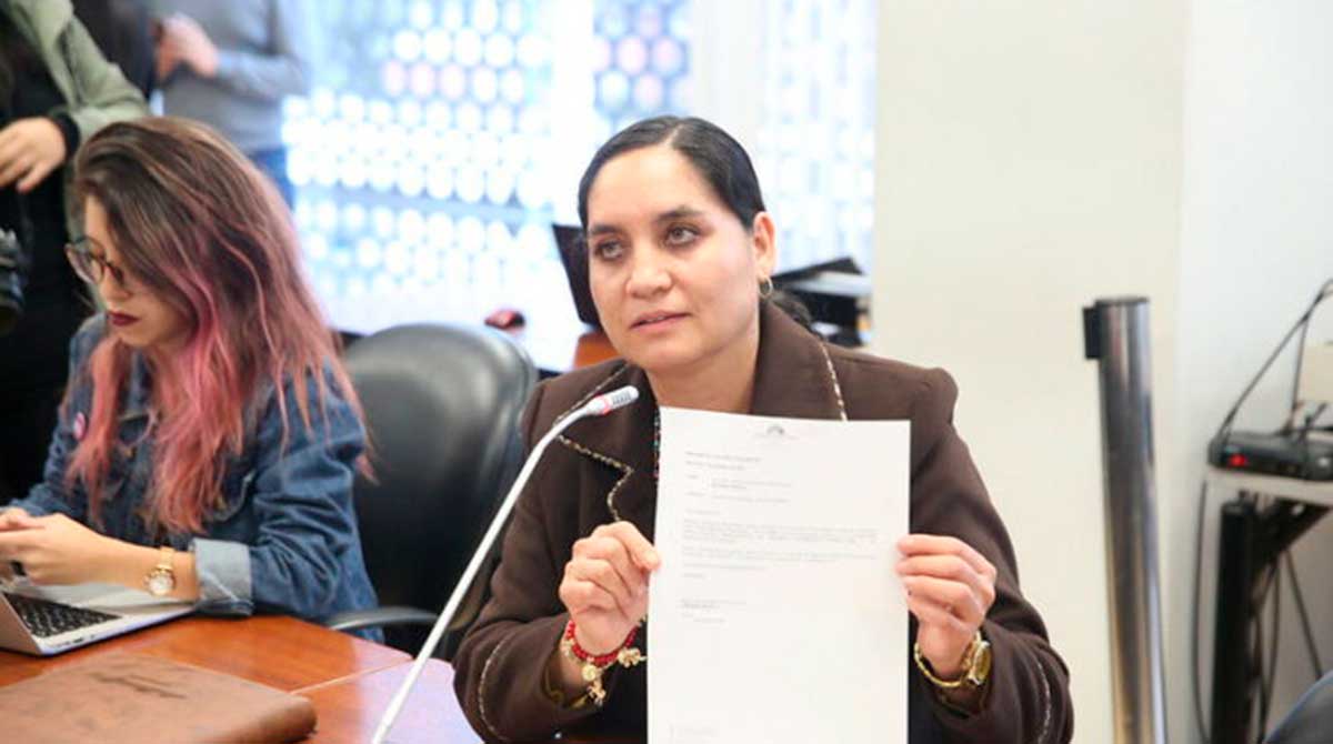 Mireya Pazmiño, presidenta de la Comisión de Régimen Económico. Foto: Asamblea