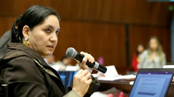 Mireya Pazmiño, proponente del juicio político, en la Comisión de Fiscalización. Foto: Asamblea