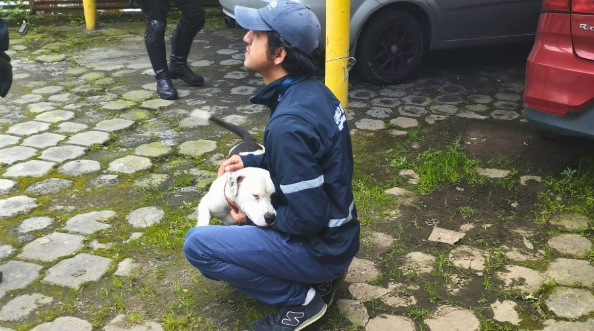 Personal de la Unidad de Bienestar Animal rescataron a la perrita abandonada. Foto: Twitter UBA