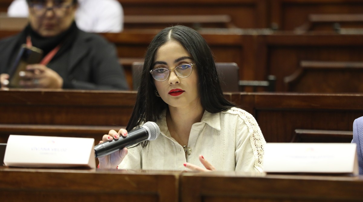 La asambleísta correísta Viviana Veloz habló de las pruebas que presentó para que se realice el juicio político contra Guillermo Lasso. Foto: Flickr Asamblea Nacional