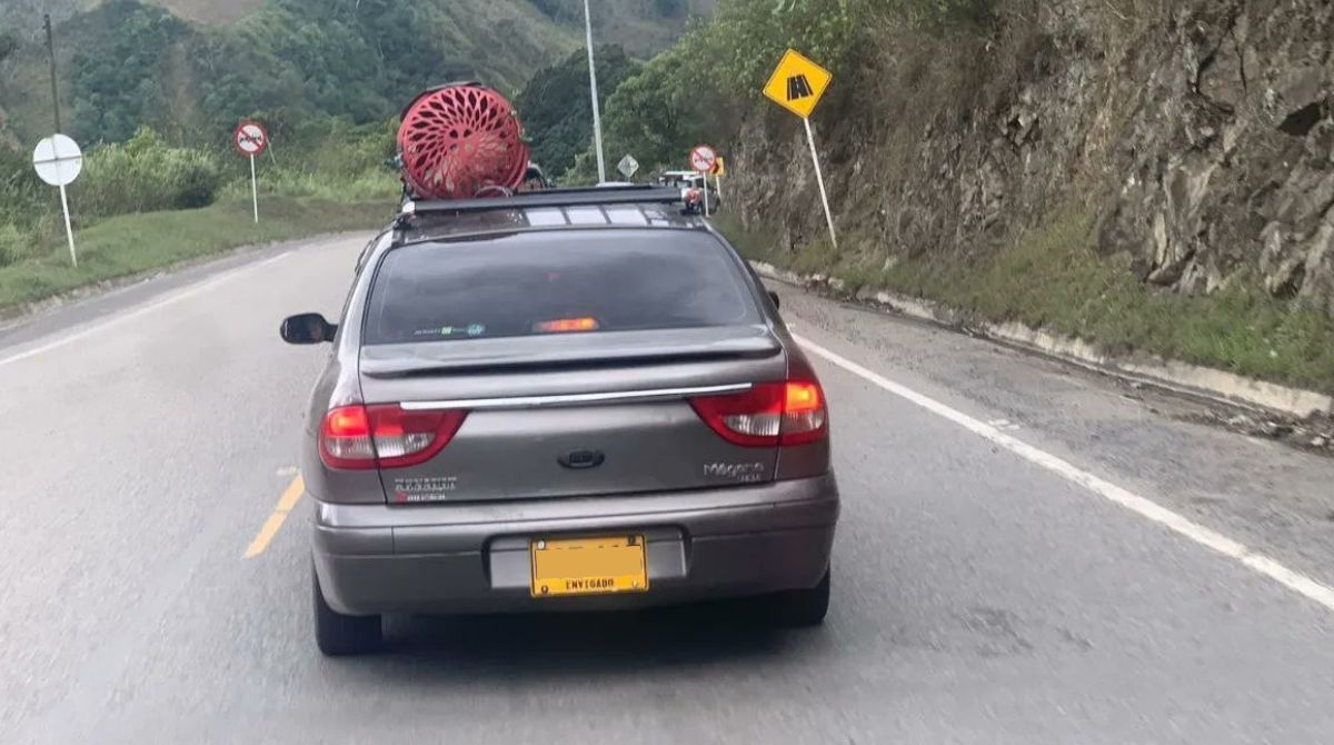 Pese a la controversia, el perrito viajaba tranquilo sobre el vehículo. Foto: Twitter Denuncias Antioquia