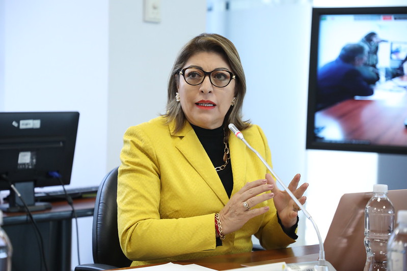 Wilma Andrade (ID), exvicepresidenta de la Comisión de Desarrollo Económico. Foto: Asamblea