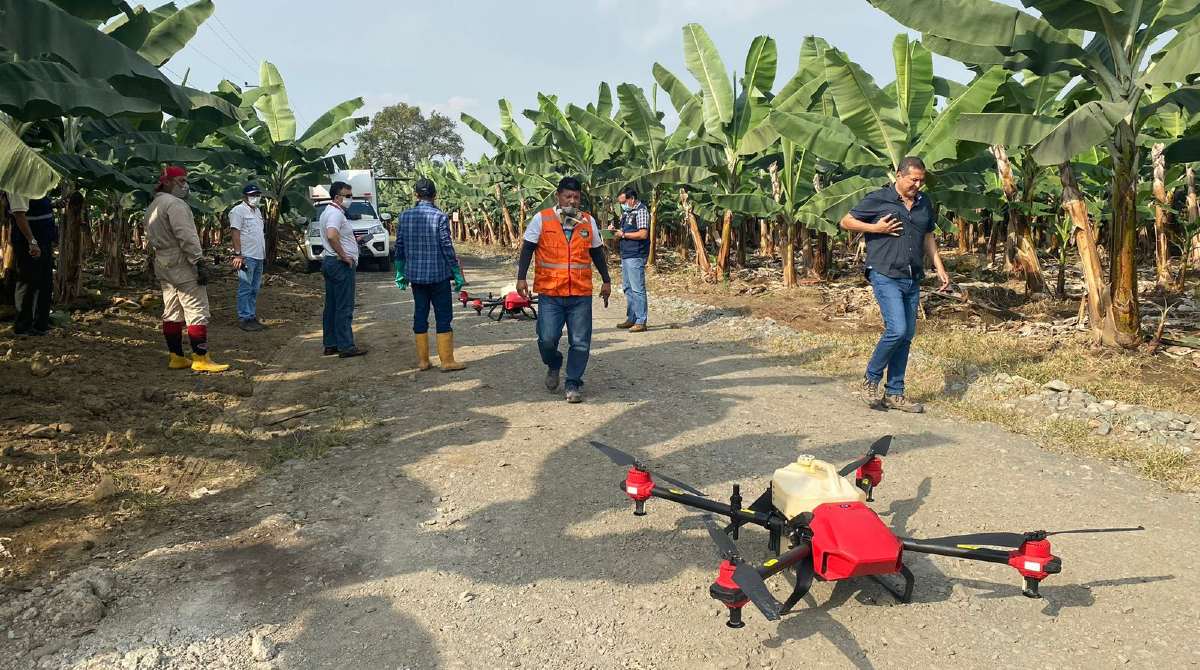 Los drones de más de 150 kilos de pesos se pueden usar en actividades agrícolas en Ecuador, como fumigar el banano. Foto: AEBE