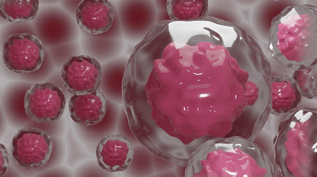 Células madres presentes en nuestro cuerpo. Foto: Pixabay