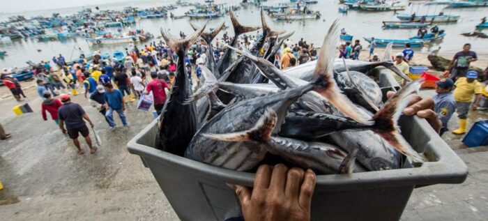 Ecuador preside el acuerdo mundial de Pesca ilegal y no declarada - El  Comercio