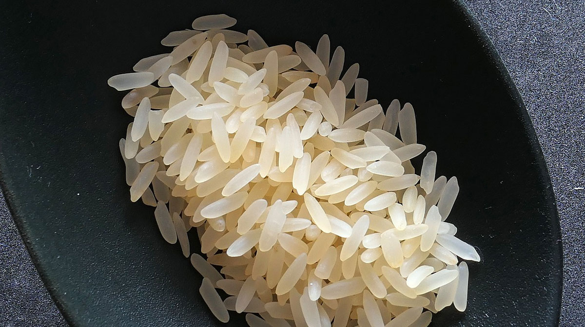Imagen referencial. Un experimento que modifica genéticamente al arroz para que sobreviva en Marte fue divulgado por científicos. Foto: Pixabay