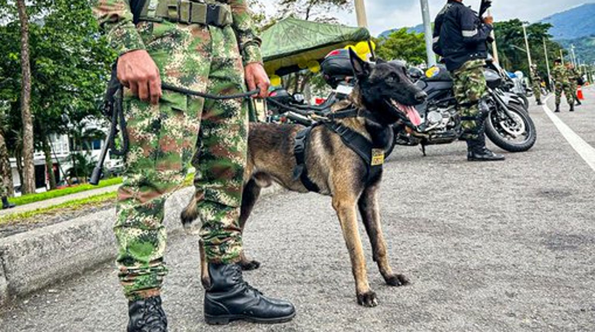 Imagen referencial. El Ejército de Colombia mantiene la búsqueda del perro Wilson, el can que ayudó en la operación de rescate de los 4 niños en la selva. Foto: Twitter Ejército Nacional de Colombia