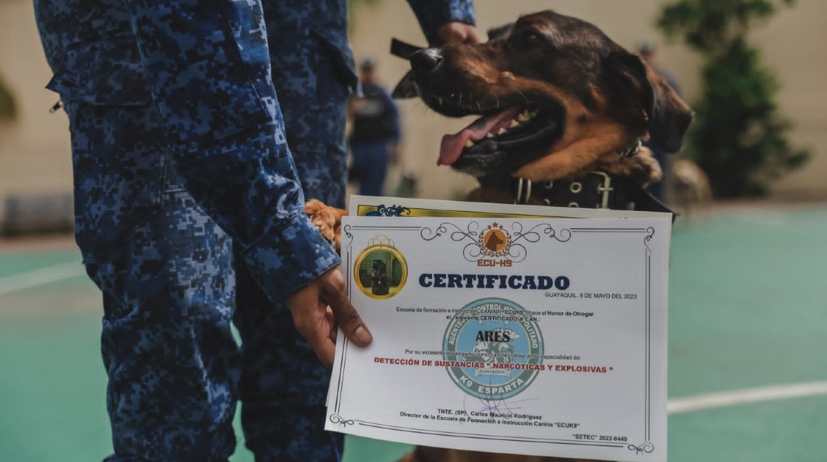 Ares es uno de los perros adiestrados que conforman el Escuadrón Esparta. Foto: Municipio de Guayaquil