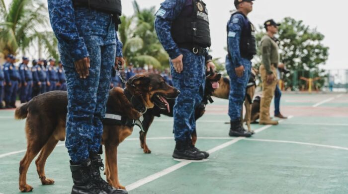 Los perros y sus guías custodiarán las afueras de planteles educativos. Foto: Municipio de Guayaquil 