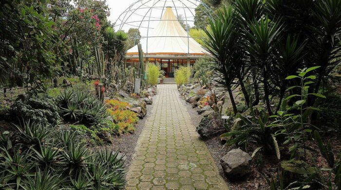 El Jardín Botánico Quito está ubicado en el Parque La Carolina. Foto Archivo/El Comercio