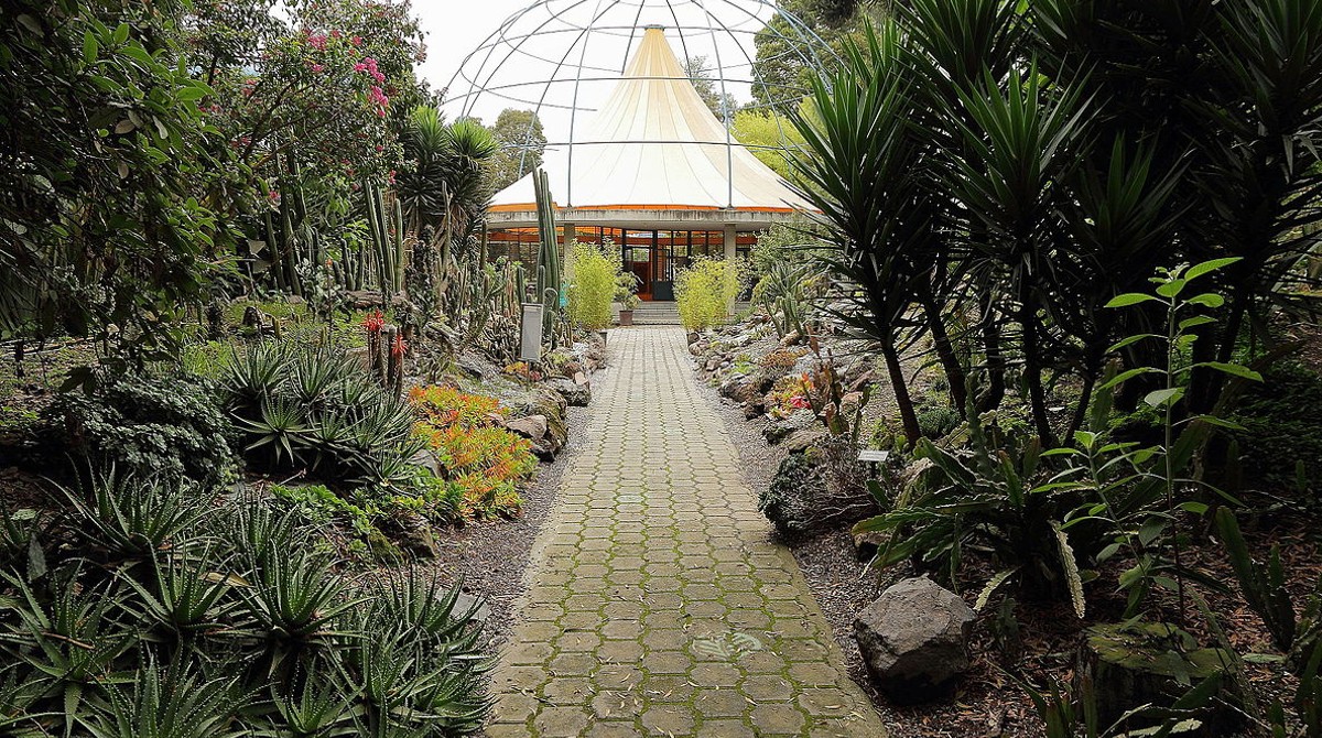 El Jardín Botánico Quito está ubicado en el Parque La Carolina. Foto Archivo/El Comercio