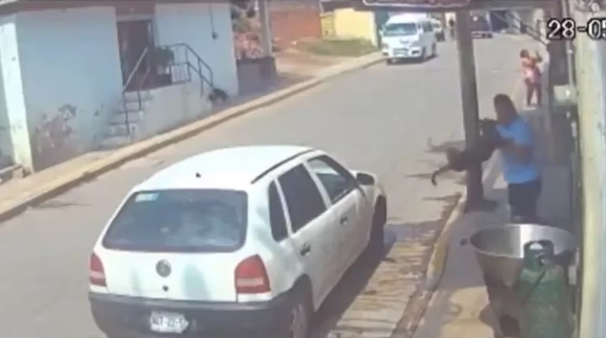 Una cámara de seguridad captó el momento en que el hombre arroja el perrito a la olla con aceite. Foto: Captura de video
