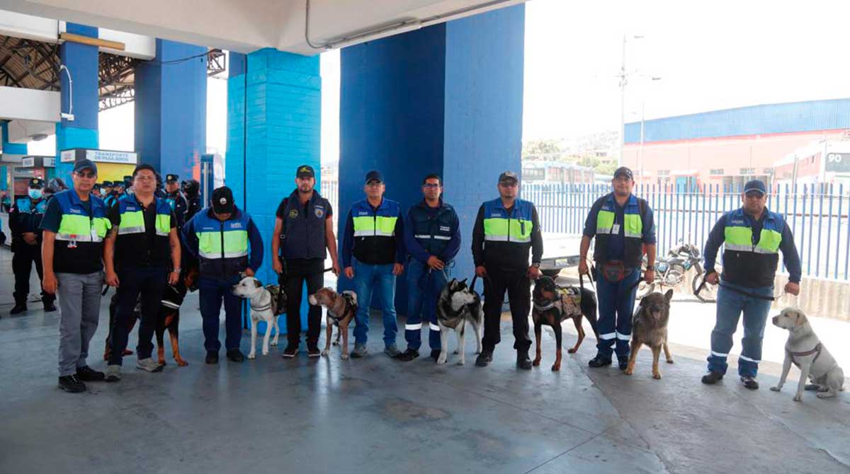 Unidad Canina Empresa de Pasajero de Quito, en El Recreo. Foto: Patricio Terán / EL COMERCIO