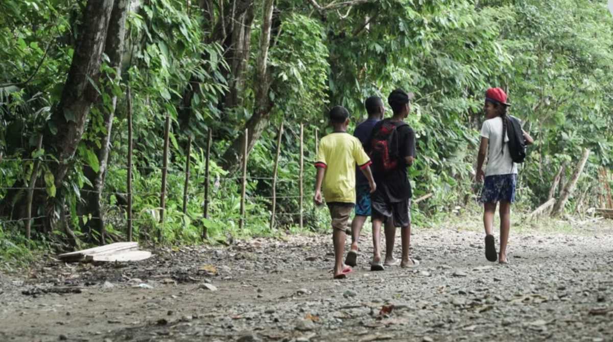 Imagen referencial. Familia de ecuatorianos salvaron a un niño que se encontraba perdido en la selva. Foto: Cortesía