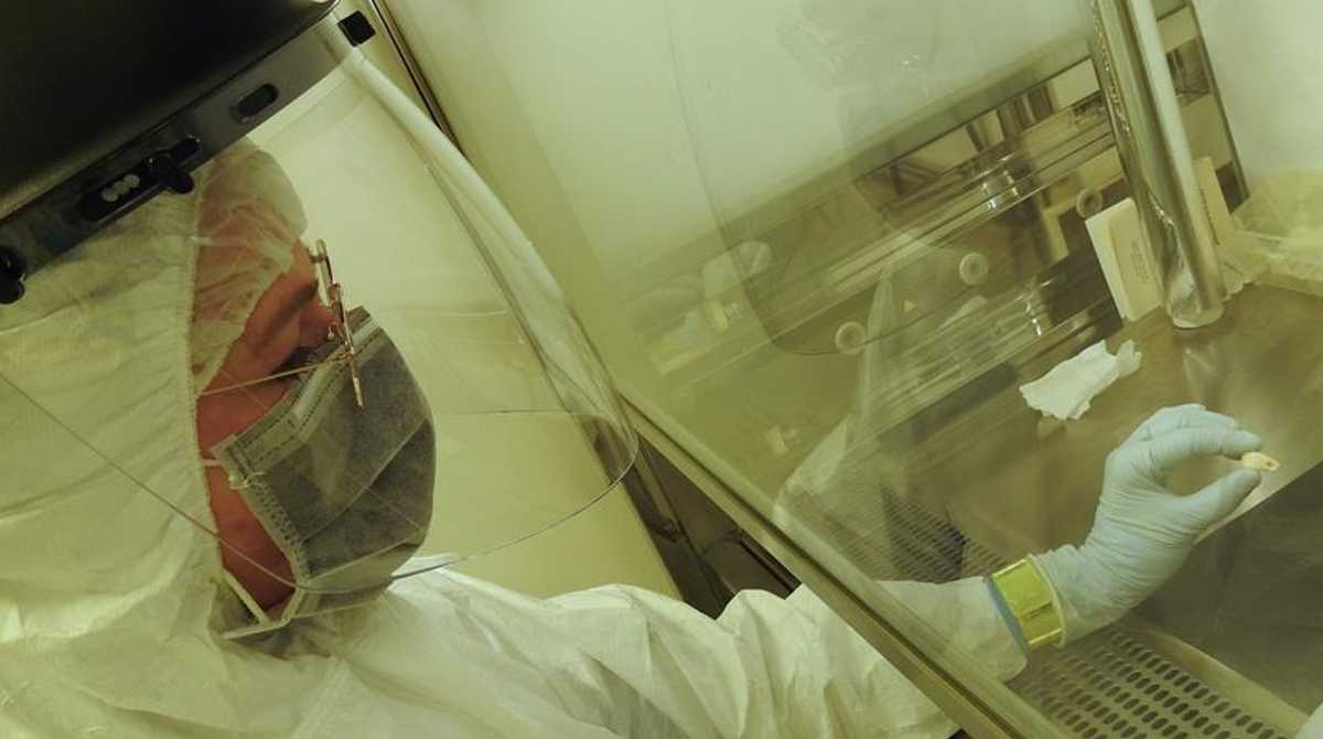 La investigadora Elena Essel durante el trabajo en el laboratorio. Imagen cedida por el Instituto Max Planck de Antropología Evolutiva. Foto: EFE