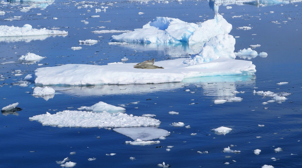 Las aguas del mar Ártico se calientan y reducen por el cambio climático. Foto: Pixabay