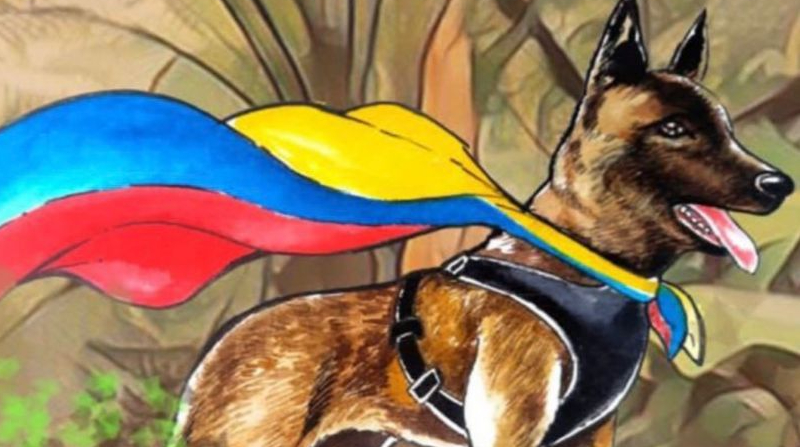 Colombia mantiene las labores de búsqueda de Wilson, un héroe canino. Foto: Twitter Fuerzas Militares de Colombia
