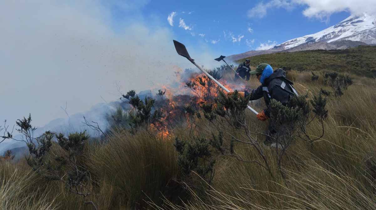 Bomberos y guardaparques trabajan para controlar el incendio forestal en las faldas del volcán Chimborazo. Foto: Twitter @Ambiente_Ec