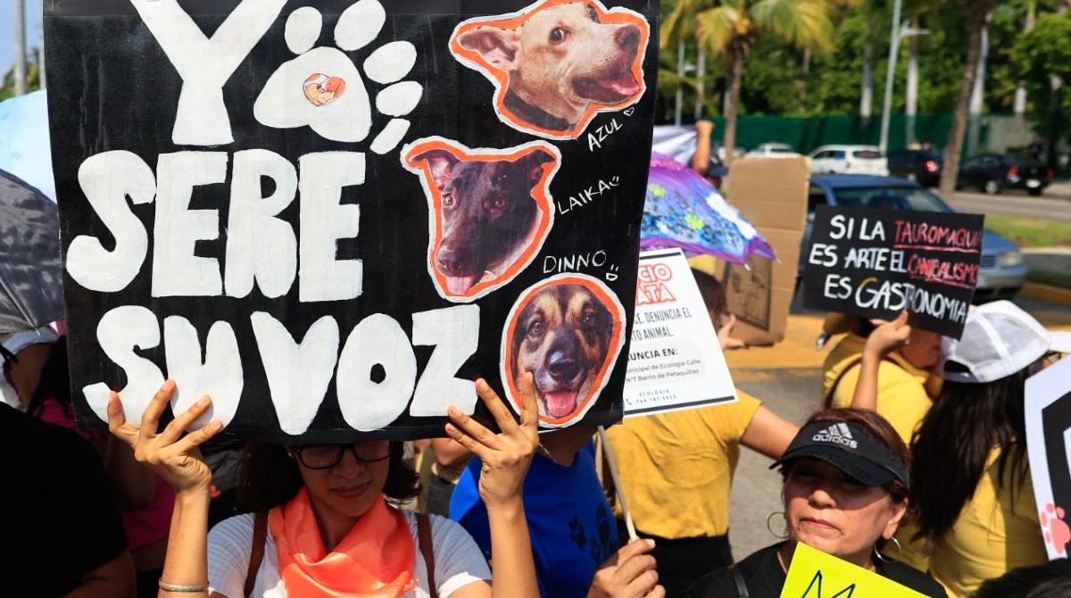 Personas convocadas por organizaciones defensoras de los derechos de los animales protestan hoy, en el balneario de Acapulco, en el estado de Guerrero (México). Foto: David Guzmán/EFE