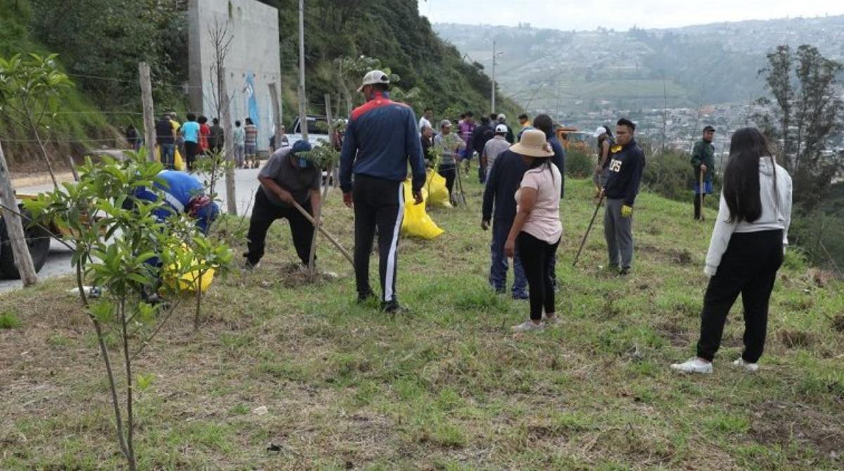 La minga comunitaria tendrá el apoyo de colegios y universidades de Quito. Foto: Municipio de Quito