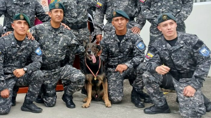 Tobby, un perro del equipo antiexplosivos del Grupo de Intervención y Rescate (GIR) fue retirado de sus labores. Foto cortesía