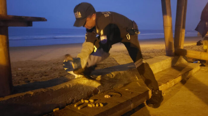 El piquero de patas azules fue rescatado cuando era alimentado por turistas en una playa de Esmeraldas. Foto: Twitter Policía Ecuador
