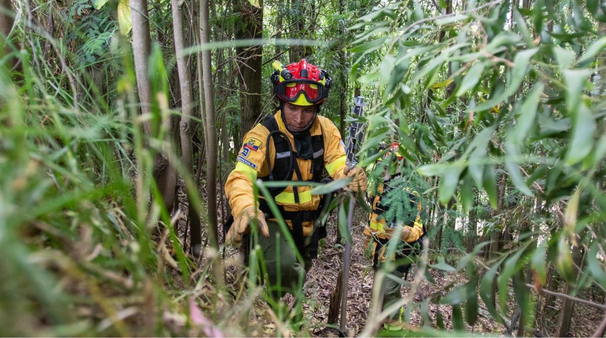 Con las jornadas de capacitación se espera prevenir los incendios forestales en esta época seca del año. Foto: Carlos Noriega / EL COMERCIO