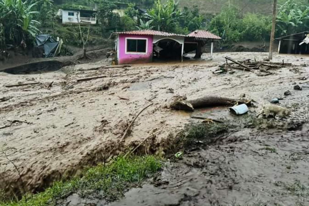 El aluvión registrado en el cantón Alausí ocasionó daños en 29 casas y la destrucción de cinco. Cortesía: Prensa Virtual