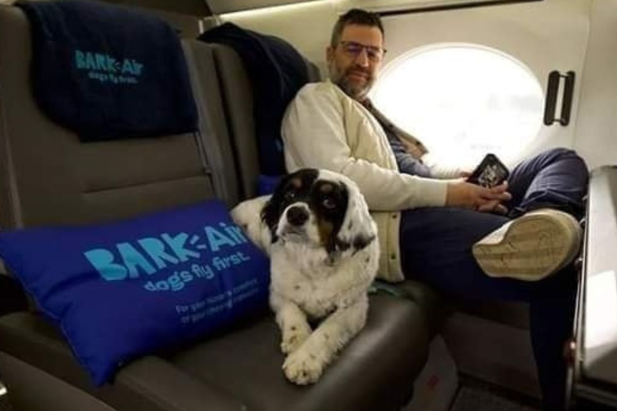 La nueva aerolínea para perros empezará a operar en mayo, desde Nueva York. Foto: Facebook