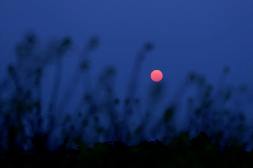 La Luna Rosa se podrá observar toda la noche de este 23 de abril de 2024 en Ecuador. Foto: Pexels