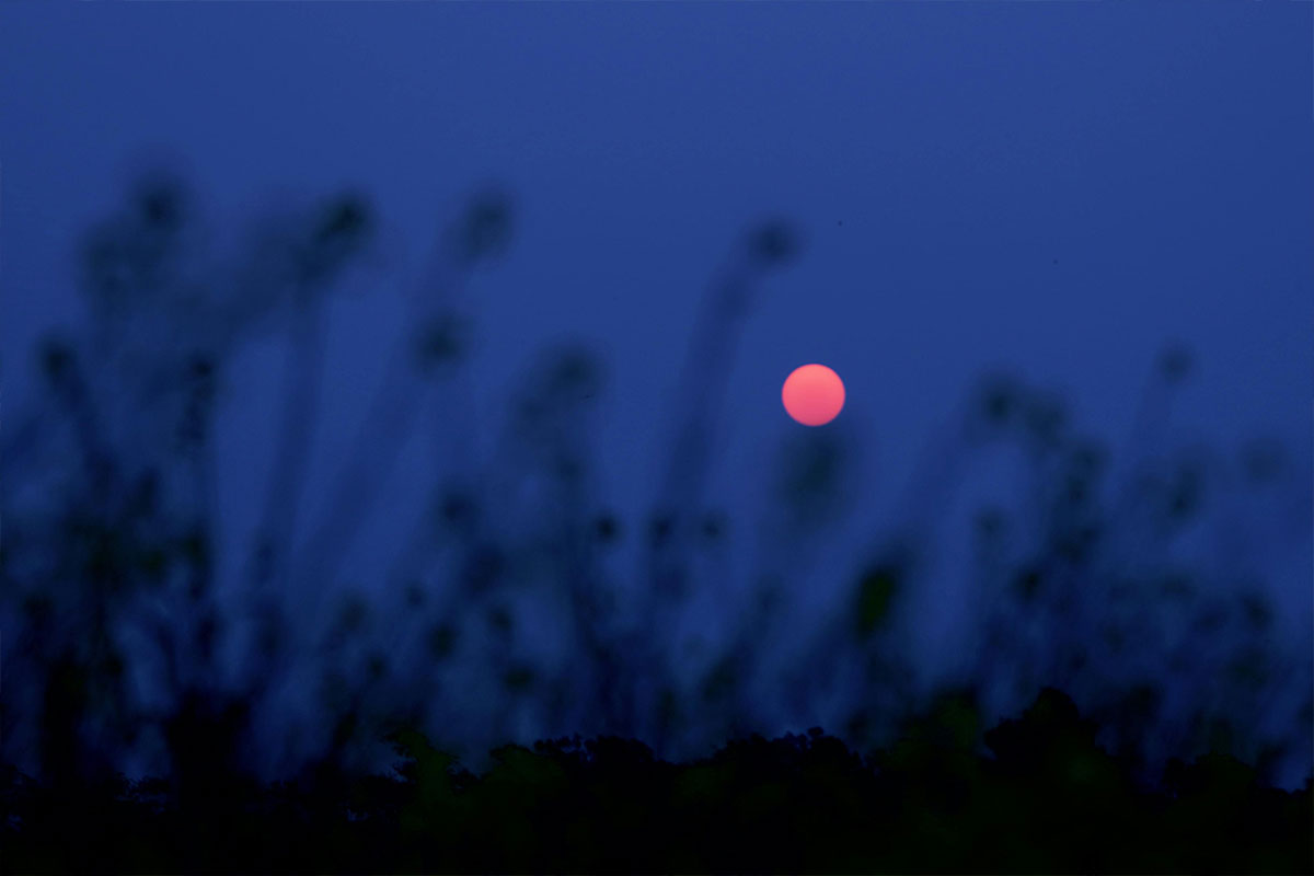 La Luna Rosa se podrá observar toda la noche de este 23 de abril de 2024 en Ecuador. Foto: Pexels