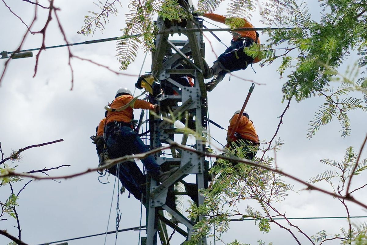 Además de los racionamientos, también se realizan mantenimientos en las redes eléctricas. Foto: X Empresa Eléctrica Quito