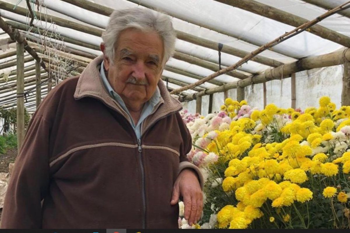 José Mujica anunció que padece cáncer de esófago. Foto: Facebook de José Mujica