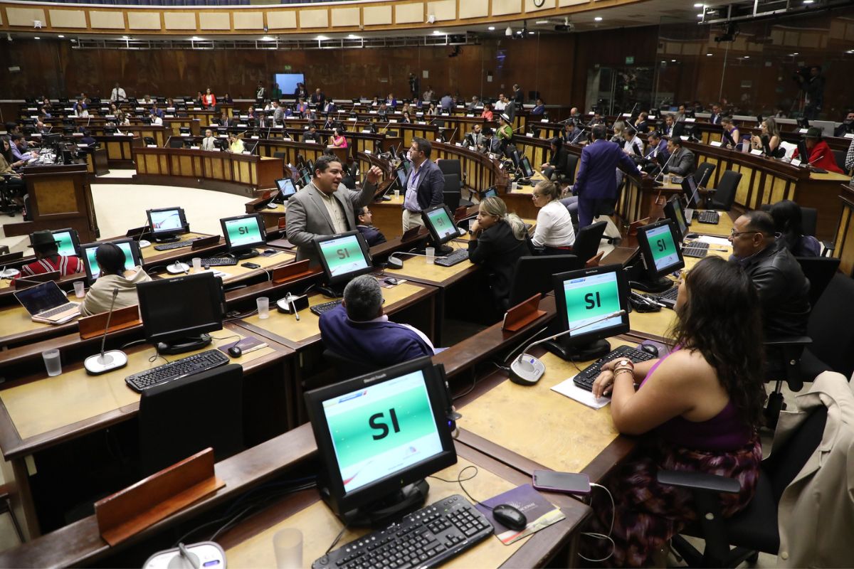 Pleno de la Asamblea. Foto: Asamblea Nacional