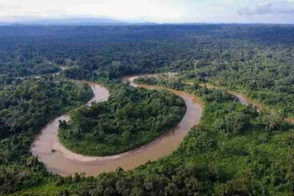 Ecuador es parte de la red para la protección de la Amazonía. Foto: cortesía
