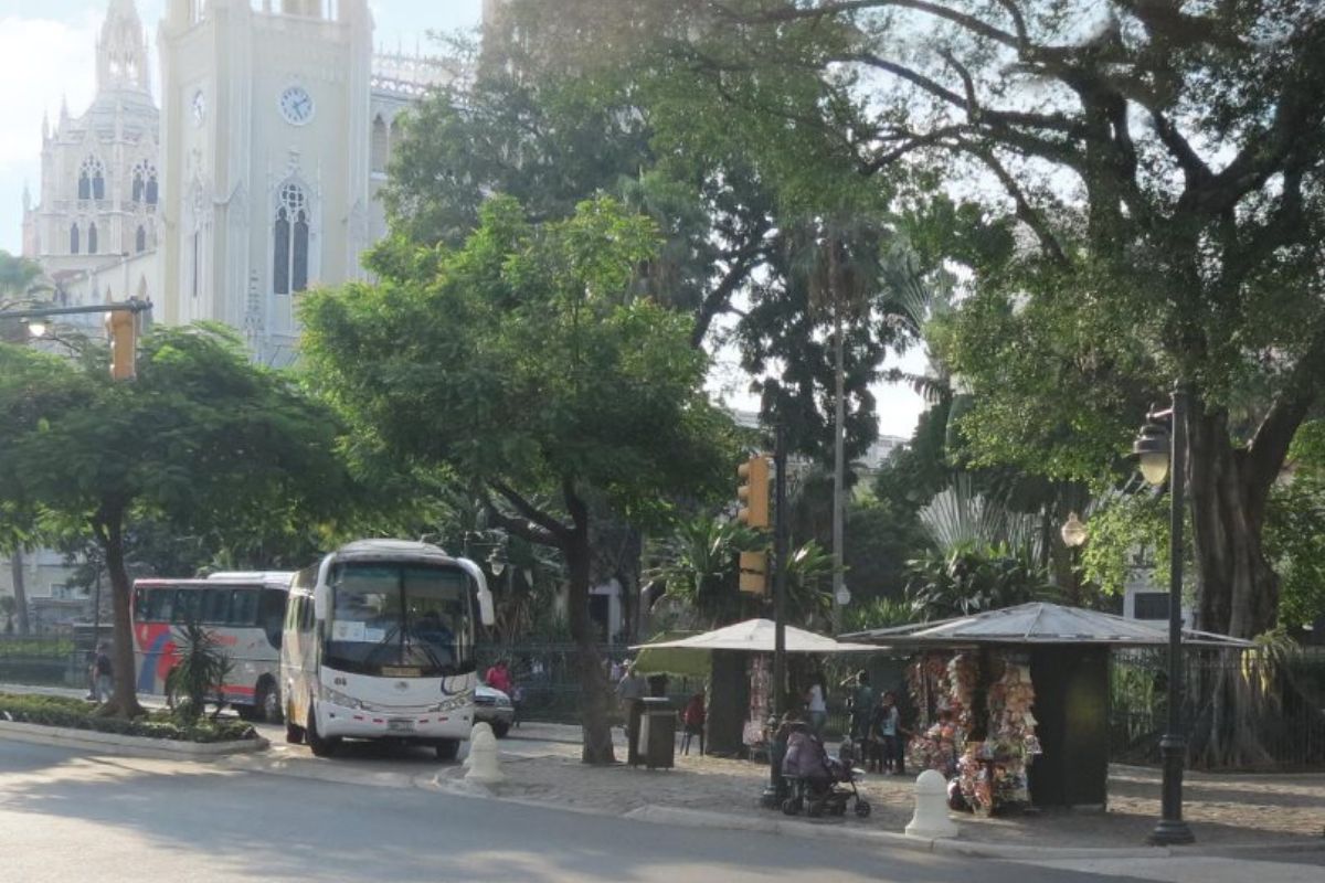 La calle 10 de Agosto, de Guayaquil, es conocida por varios atractivos turísticos. Por ejemplo, se encuentra el Parque Seminario o más conocido como el ‘parque de las iguanas’. Foto: Facebook de Guayaquil Turismo