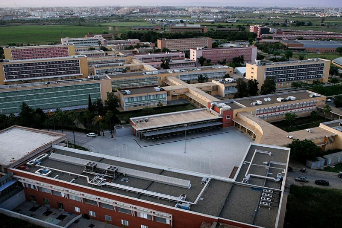 Universidad Pablo de Olavide de Sevilla (sur de España) rompió relaciones con centros educativos de Israel.