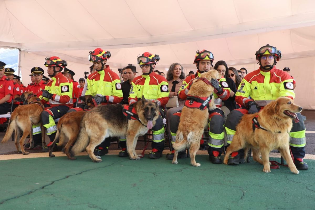 Cinco perros 'bomberos' se jubilaron. Foto: Cortesía Cuerpo de Bomberos
