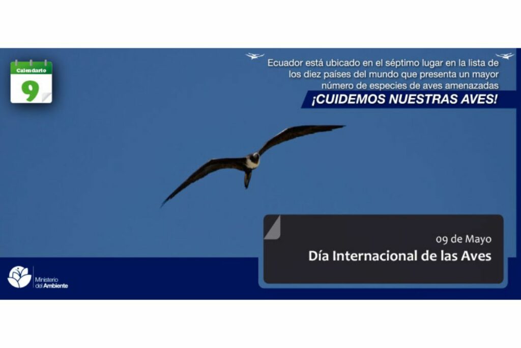 Según el Ministerio de Ambiente (MAE), las aves desempeñan un papel crucial en el ecosistema ecuatoriano. Foto: MAE. 
