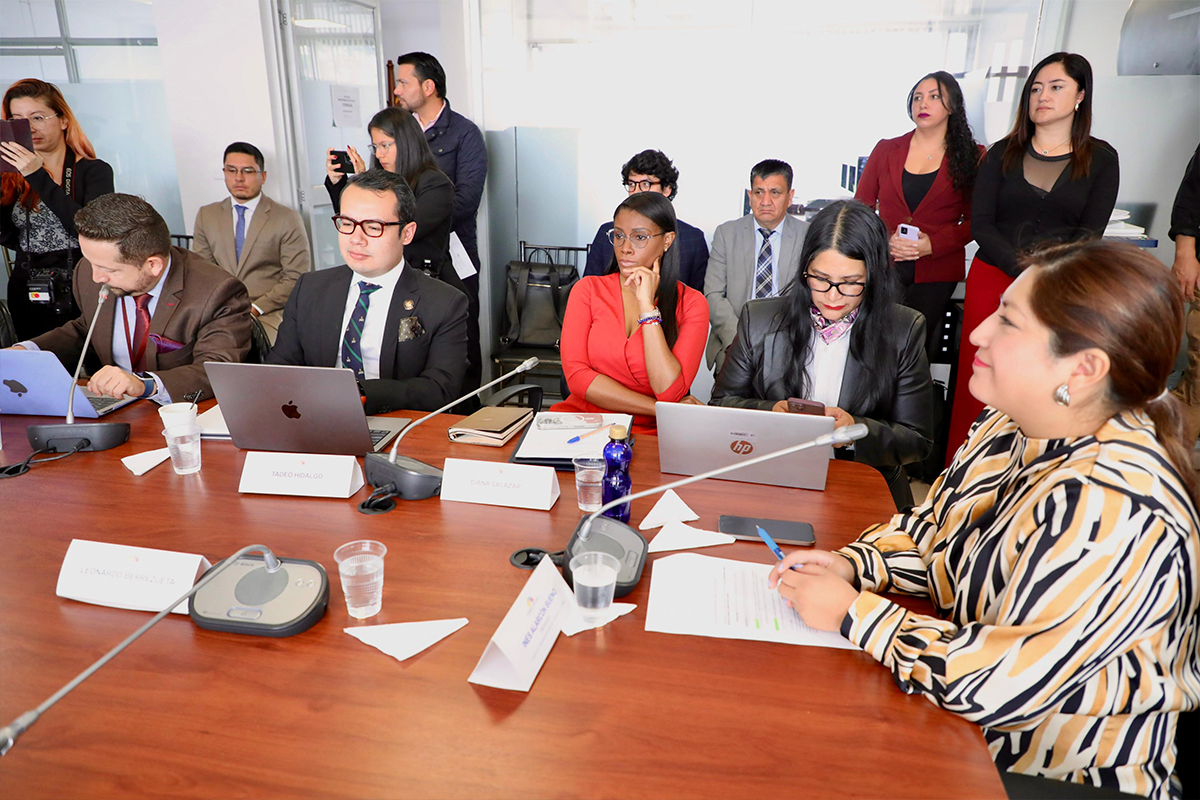 Diana Salazar se presentó ante la Comisión de Seguridad en la Asamblea Nacional. Foto: X Fiscalía