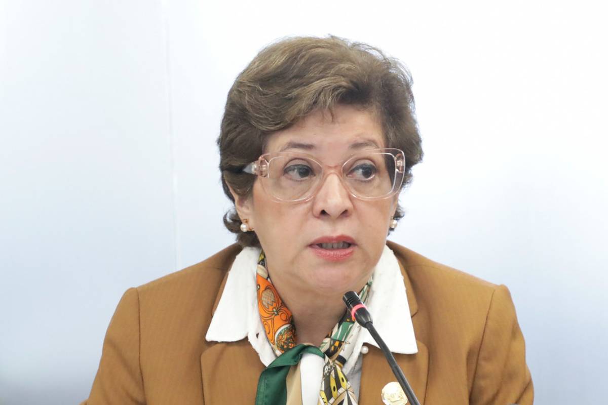 La ministra de Trabajo, Ivonne Núñez, anunció que se está diseñando una ampliación para los contratos de jornada parcial permanente en Ecuador. Foto: Asamblea Nacional