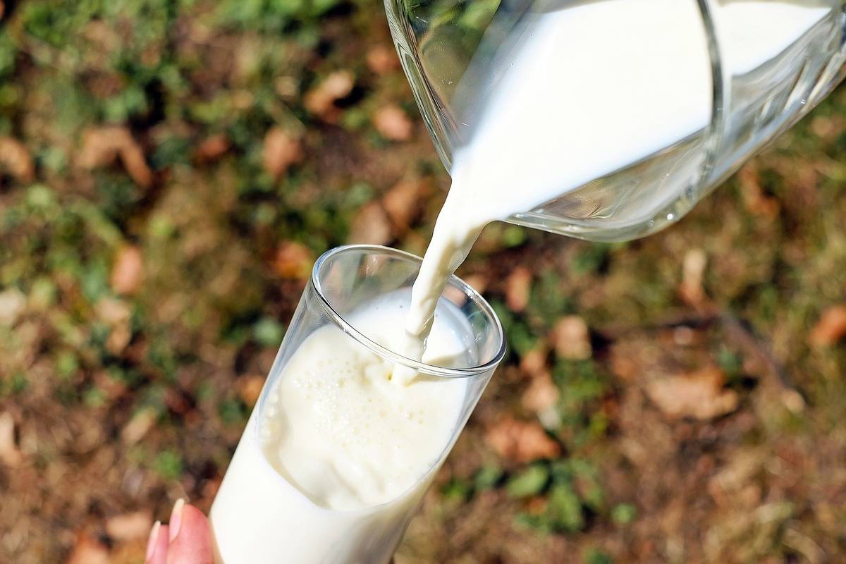 La producción diaria de leche a nivel nacional fue de 5,6 millones de litros en 2023. Foto: Pixabay