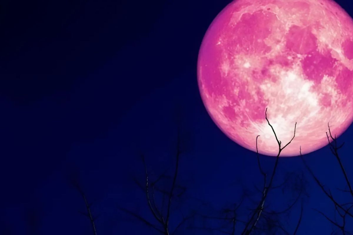 El 21 de junio de 2024, la Luna llena, conocida como Luna de Fresa, ofrecerá un espectáculo impresionante desde Ecuador. Foto: Pinterest.