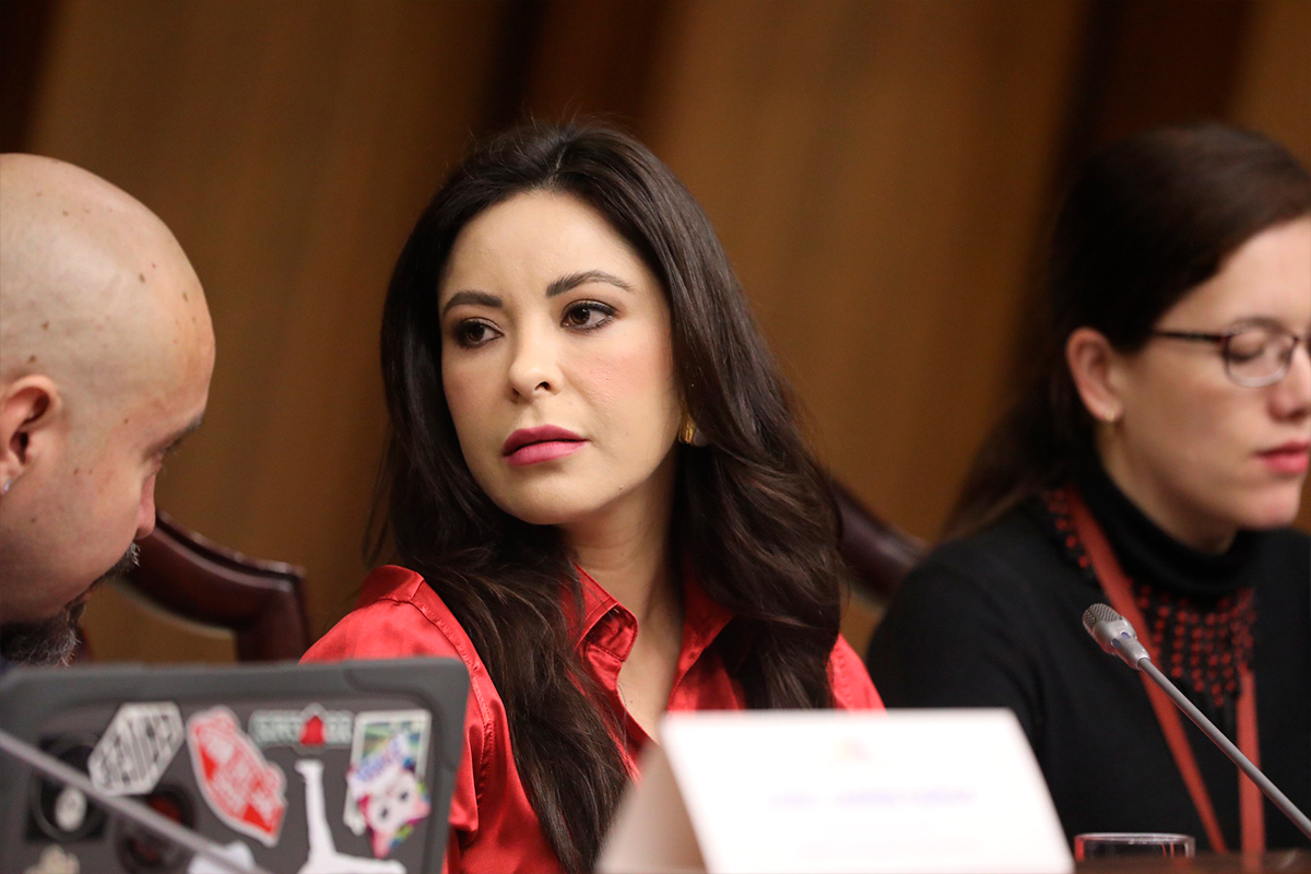 Pamela Aguirre fue cuestionada por la Asamblea Nacional sobre los ocurrido el pasado lunes 13 de mayo de 2024. Foto: Flickr Asamblea Nacional