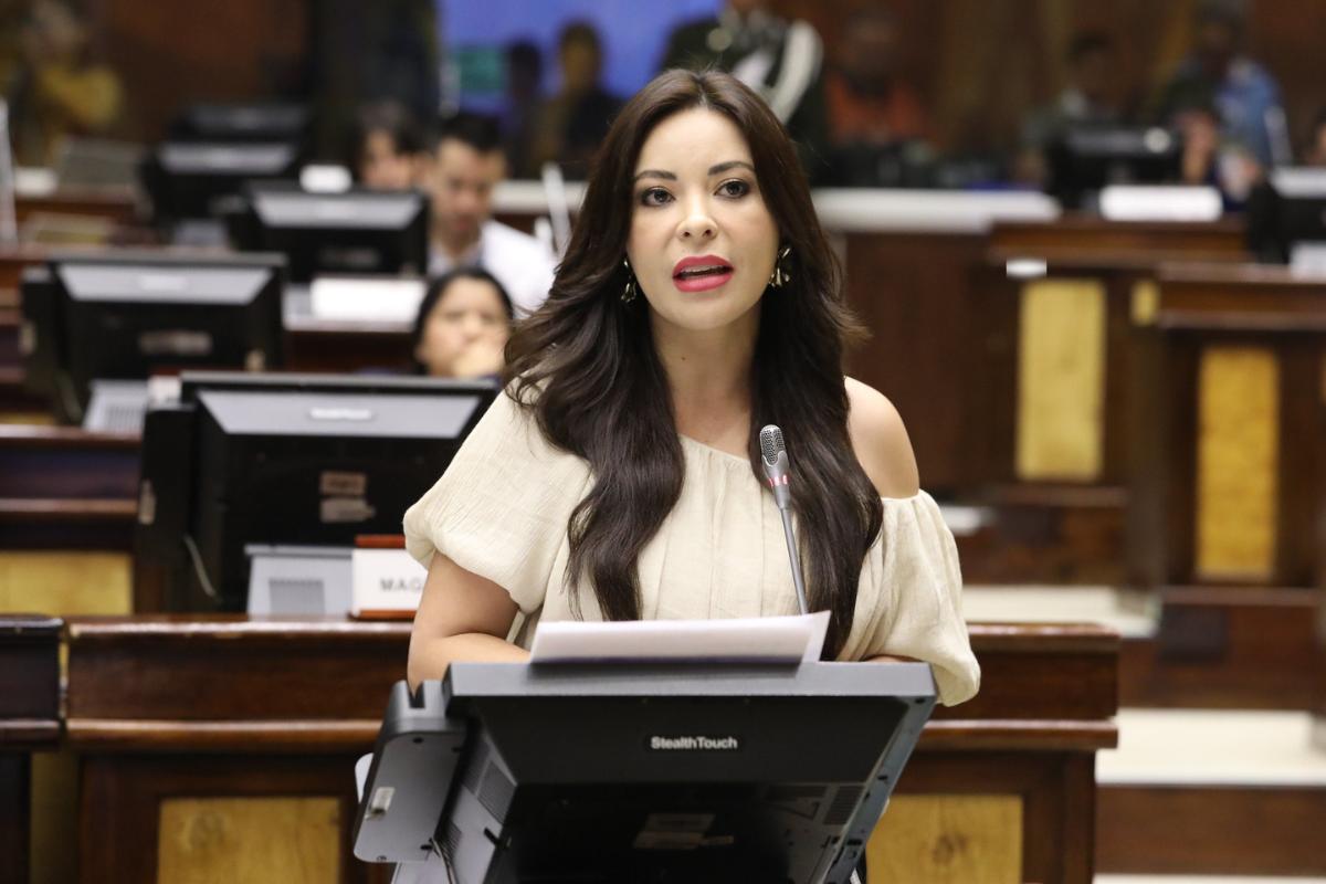 Pamela Aguirre permitió la intervención de Ronny Aleaga ante la Comisión de Fiscalización, que finalmente no se pudo realizar por problemas técnicos